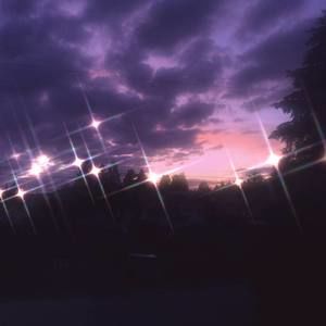 Meet your Posher, Cheyenne